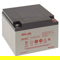 EnerSys DataSafe 12HX105 12V 21Ah